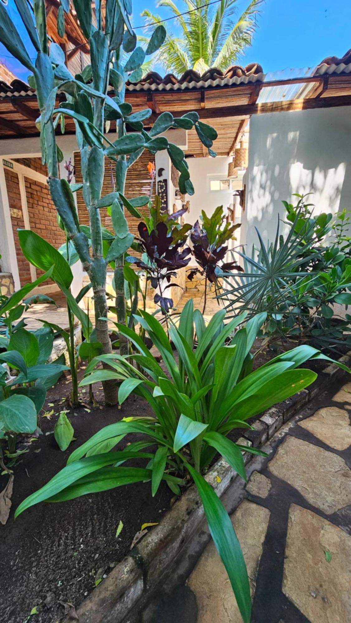 Mano A Mano Eco Hostal Las Peñitas エクステリア 写真