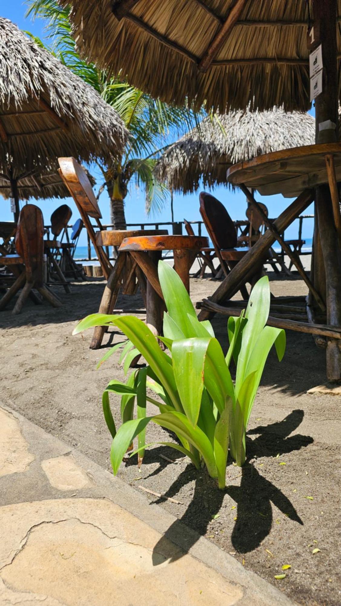 Mano A Mano Eco Hostal Las Peñitas エクステリア 写真
